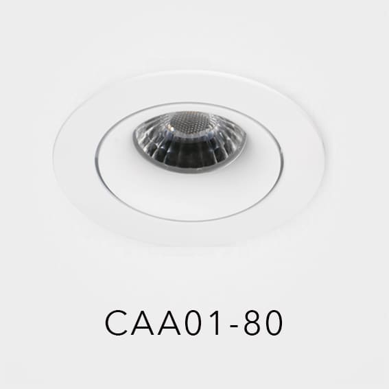 CAA01-80