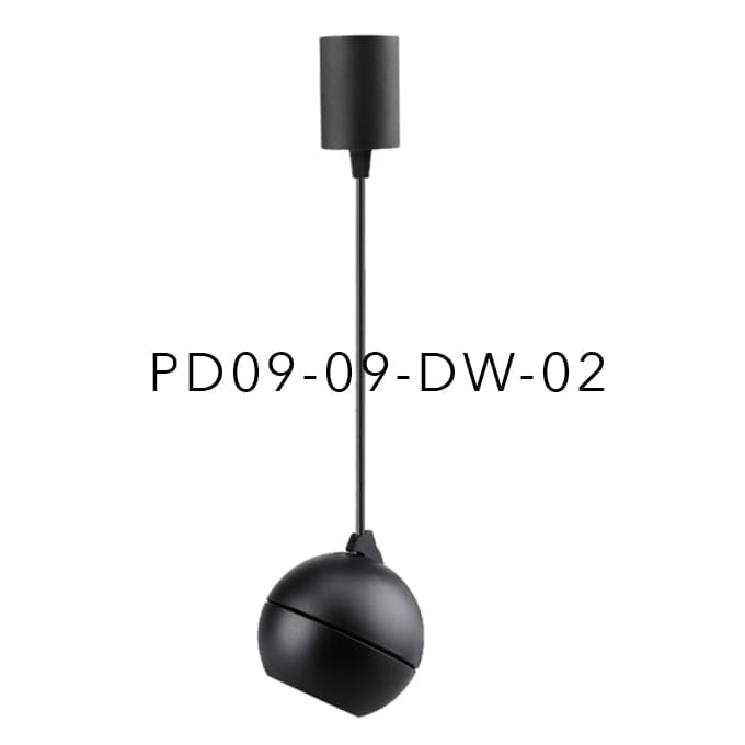 PD09-09-DW-02