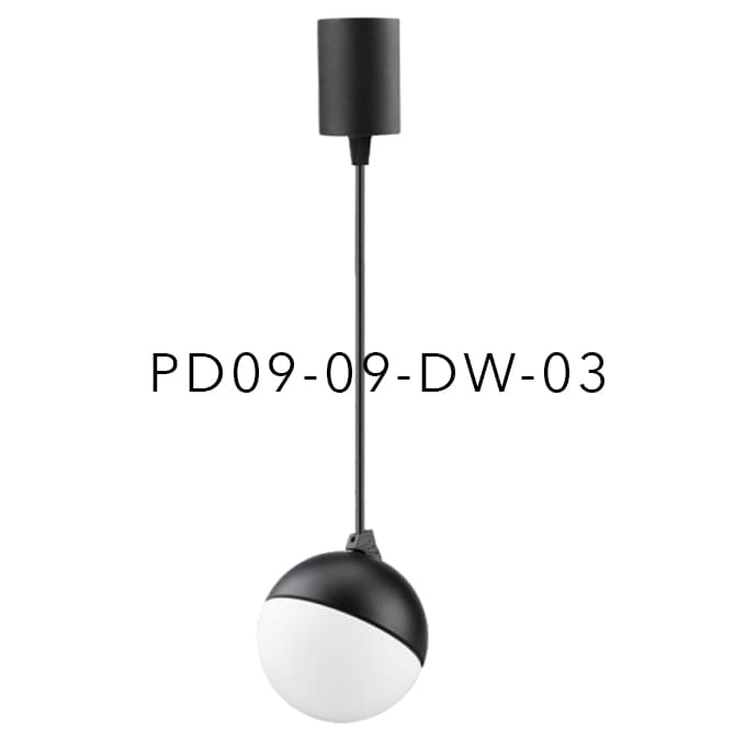 PD09-09-DW-03