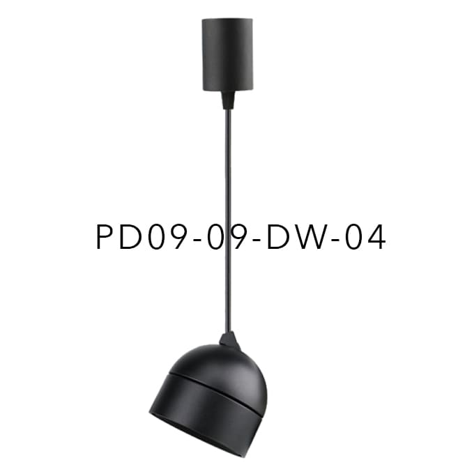 PD09-09-DW-04