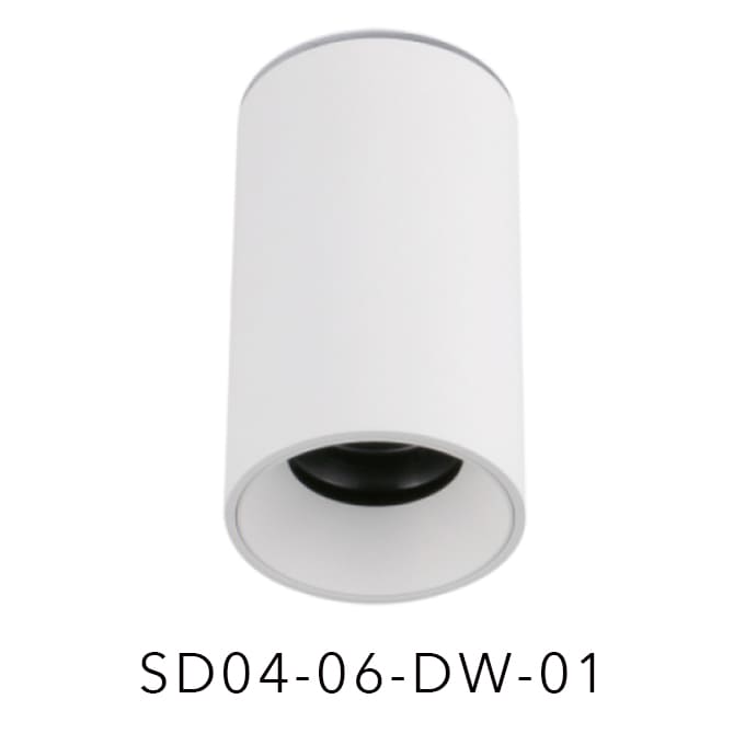 SD04-06-DW-01