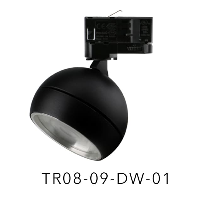 TR08-09-DW-01