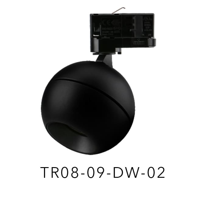 TR08-09-DW-02