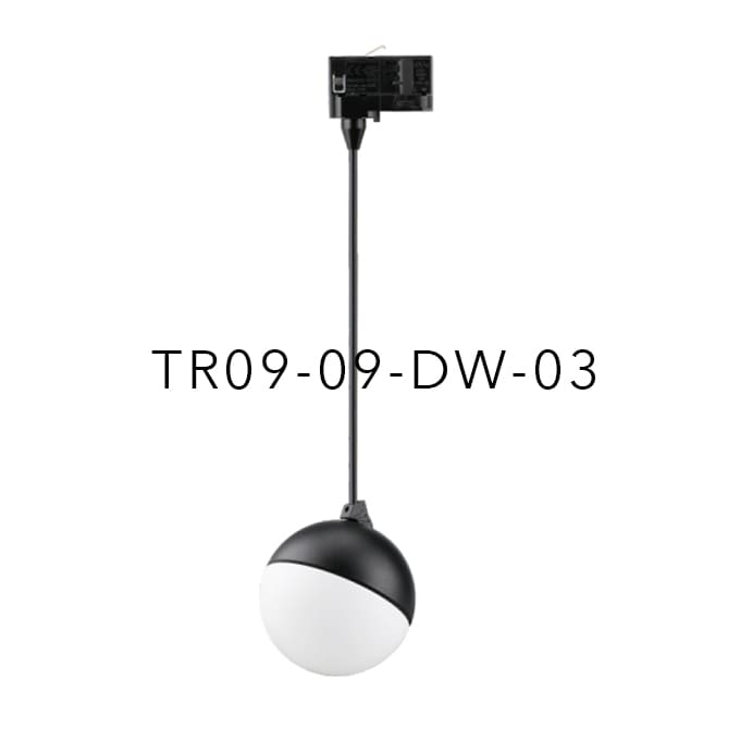 TR09-09-DW-03