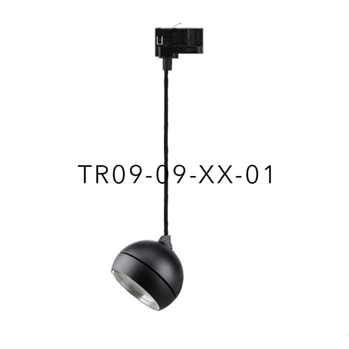 TR09-09-XX-01