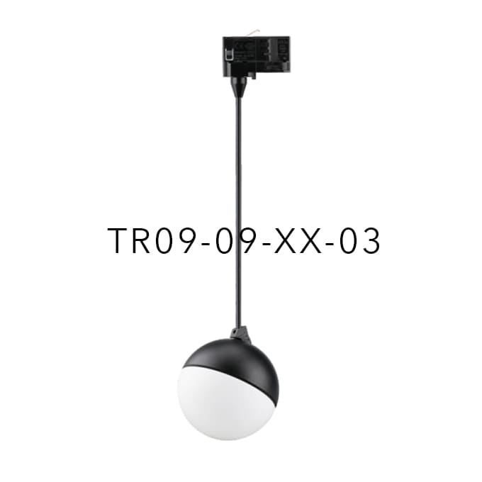 TR09-09-XX-03