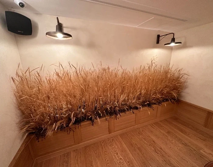 Brasserie Delaville 1